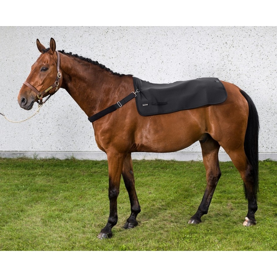 2100 2102 backwarmer with girth i 6