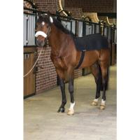 2101 back warmer royal i 6