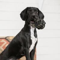 3601 dog toy rope bone web 03 1024x1024