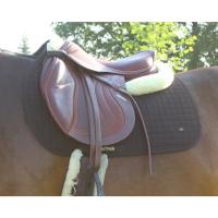 Bot 2338 saddle pad no ii jumping on horse web 1