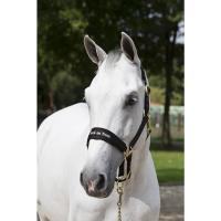 Werano halter edited gold min 4