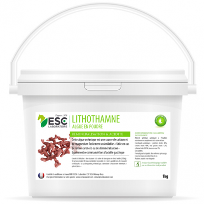 Lithothamne – Reminéralisation et acidité gastrique cheval – Plante pure